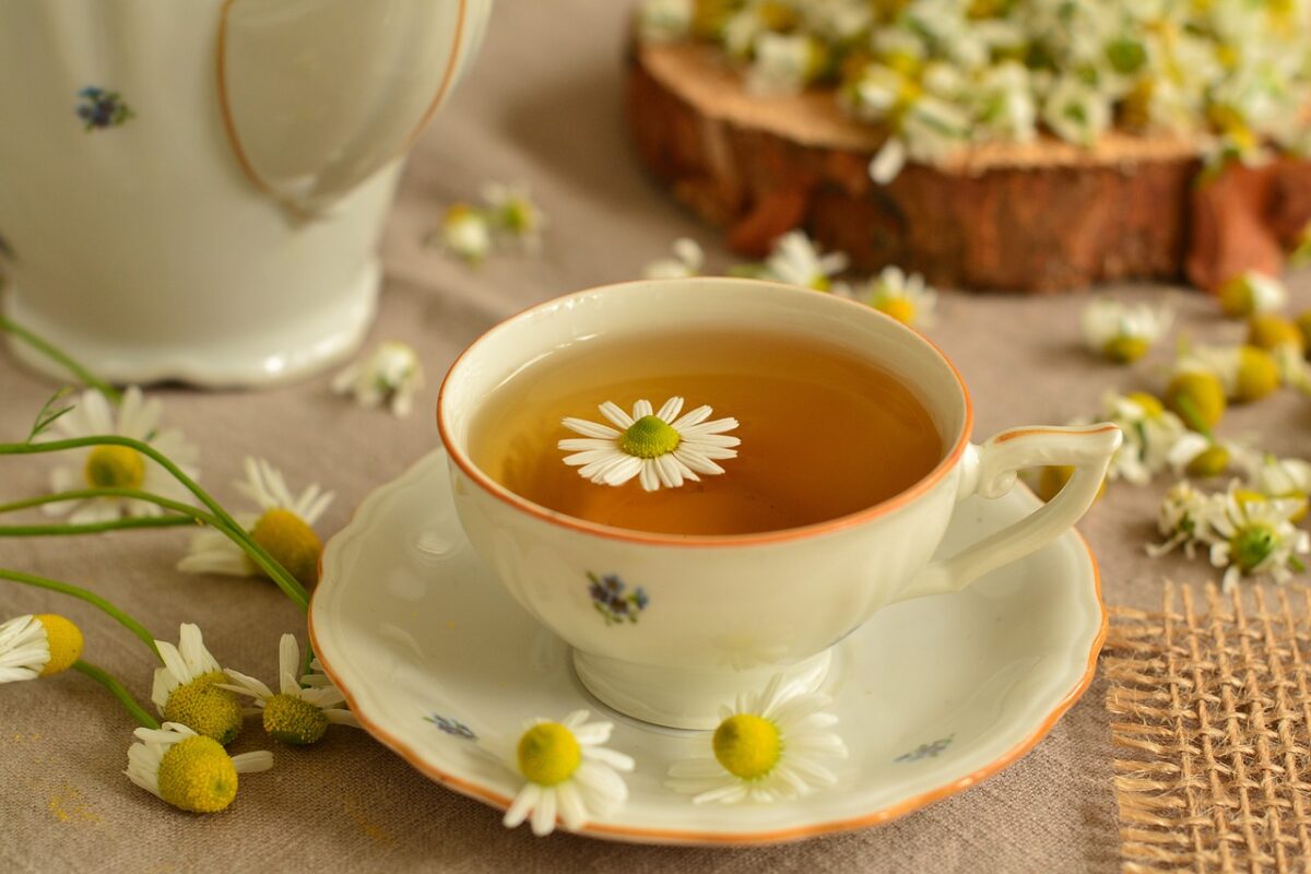 Bylinky na posílení imunity. Z kterých si uděláte nejlepší čaj?